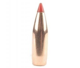 Hornady V-Max bullets