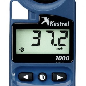 kestrel_1000