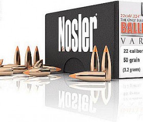 Nosler Varmint Ballistic Tip